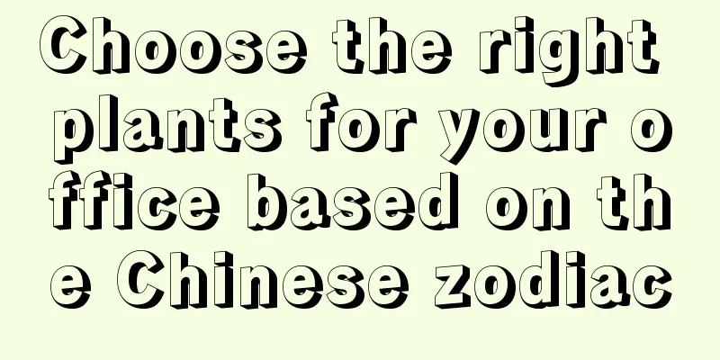 Choose the right plants for your office based on the Chinese zodiac
