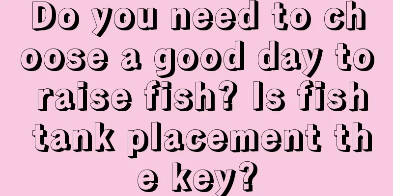 Do you need to choose a good day to raise fish? Is fish tank placement the key?