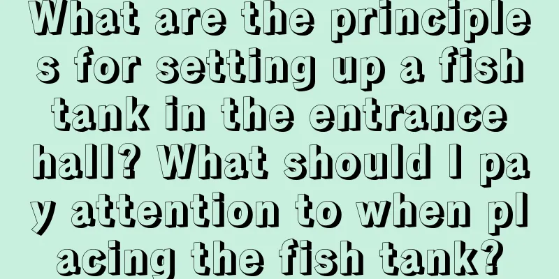 What are the principles for setting up a fish tank in the entrance hall? What should I pay attention to when placing the fish tank?