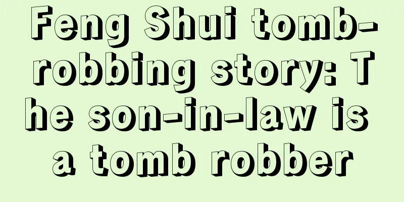 Feng Shui tomb-robbing story: The son-in-law is a tomb robber