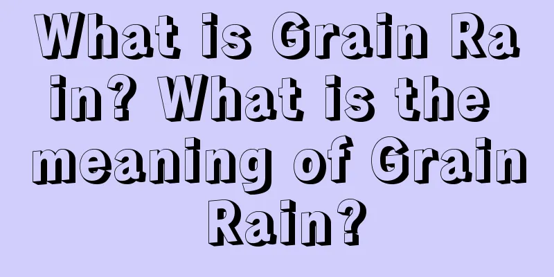 What is Grain Rain? What is the meaning of Grain Rain?
