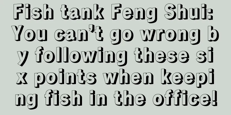 Fish tank Feng Shui: You can’t go wrong by following these six points when keeping fish in the office!