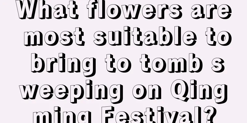 What flowers are most suitable to bring to tomb sweeping on Qingming Festival?