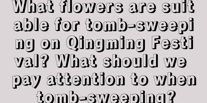 What flowers are suitable for tomb-sweeping on Qingming Festival? What should we pay attention to when tomb-sweeping?