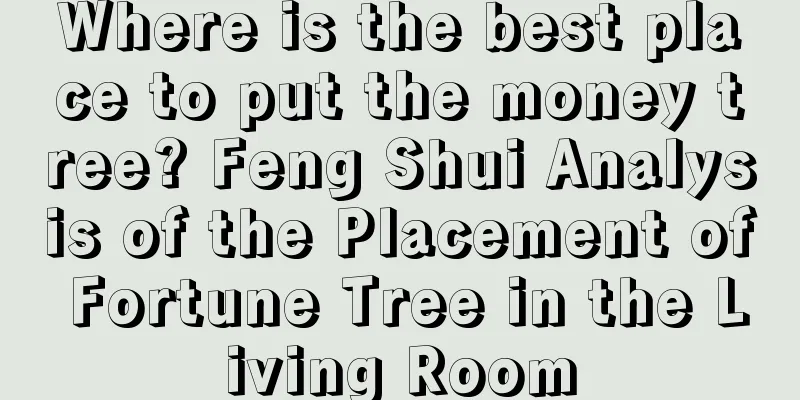 Where is the best place to put the money tree? Feng Shui Analysis of the Placement of Fortune Tree in the Living Room