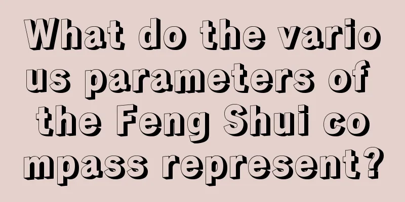 What do the various parameters of the Feng Shui compass represent?