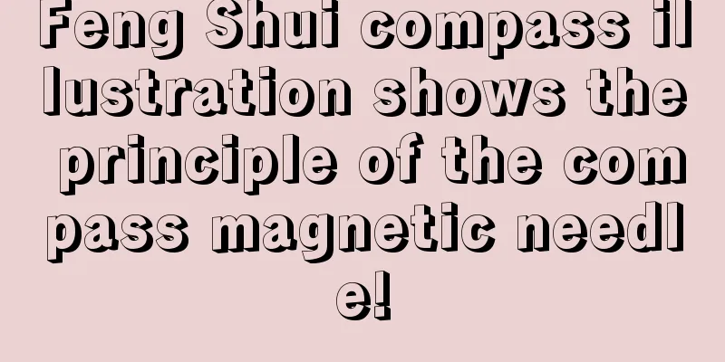 Feng Shui compass illustration shows the principle of the compass magnetic needle!