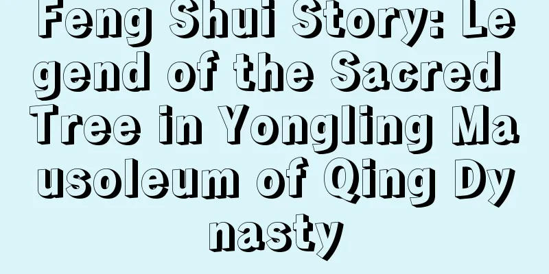 Feng Shui Story: Legend of the Sacred Tree in Yongling Mausoleum of Qing Dynasty
