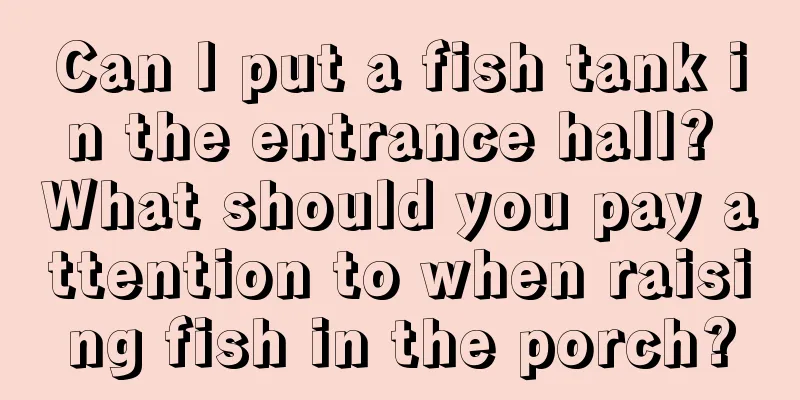 Can I put a fish tank in the entrance hall? What should you pay attention to when raising fish in the porch?
