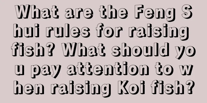 What are the Feng Shui rules for raising fish? What should you pay attention to when raising Koi fish?