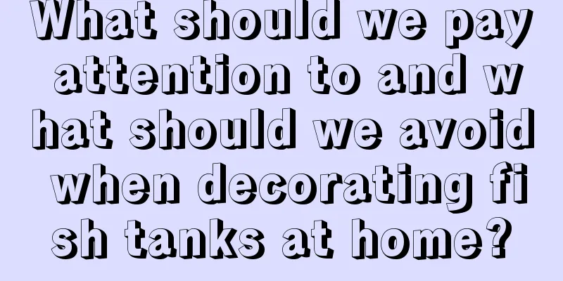 What should we pay attention to and what should we avoid when decorating fish tanks at home?