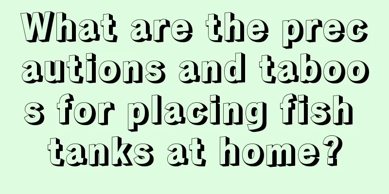What are the precautions and taboos for placing fish tanks at home?