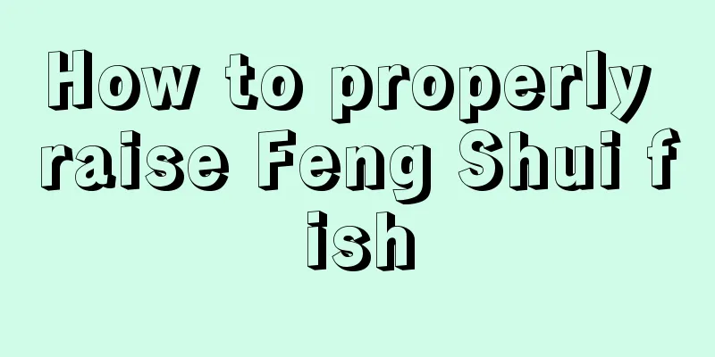How to properly raise Feng Shui fish