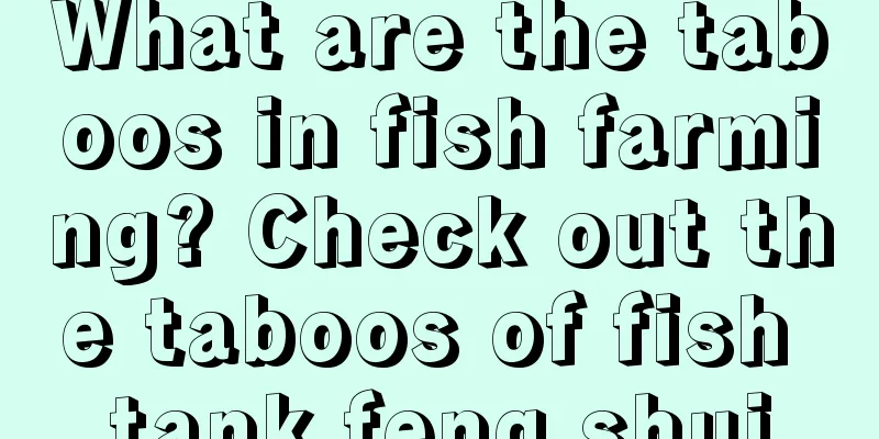 What are the taboos in fish farming? Check out the taboos of fish tank feng shui