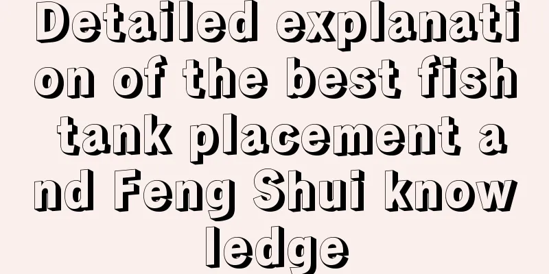 Detailed explanation of the best fish tank placement and Feng Shui knowledge