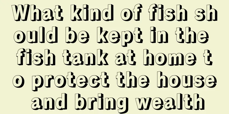 What kind of fish should be kept in the fish tank at home to protect the house and bring wealth