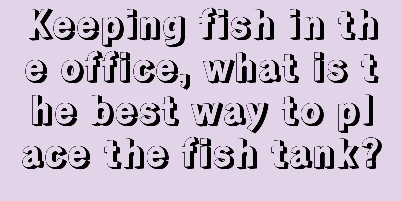 Keeping fish in the office, what is the best way to place the fish tank?
