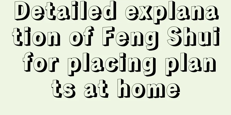 Detailed explanation of Feng Shui for placing plants at home