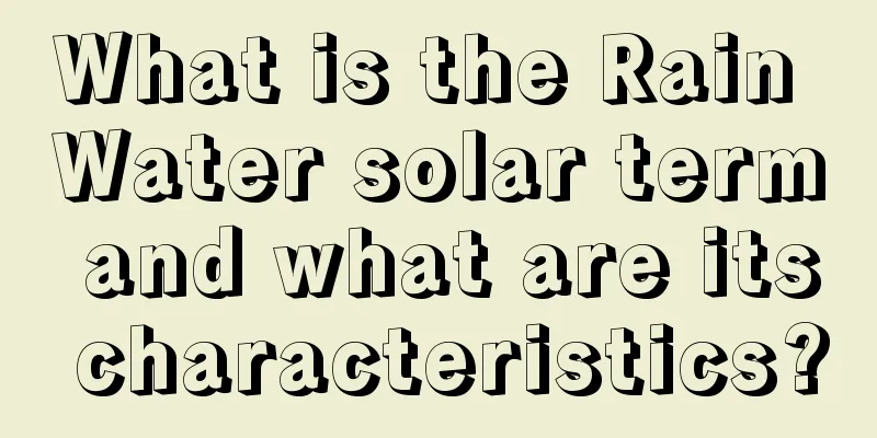 What is the Rain Water solar term and what are its characteristics?