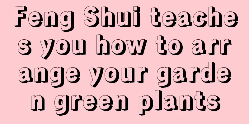 Feng Shui teaches you how to arrange your garden green plants
