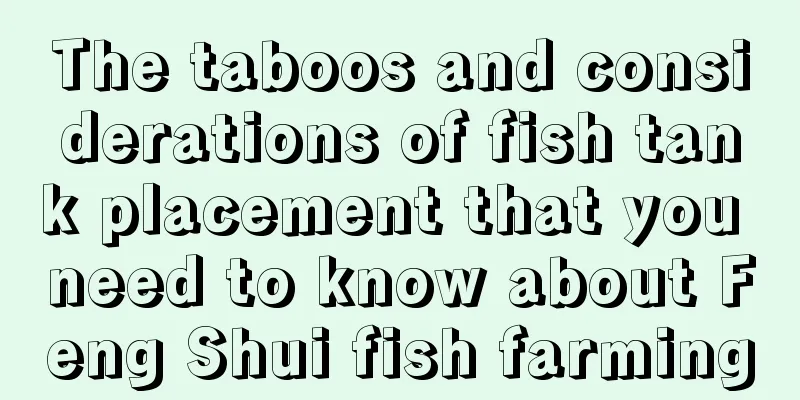 The taboos and considerations of fish tank placement that you need to know about Feng Shui fish farming