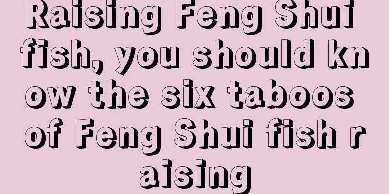 Raising Feng Shui fish, you should know the six taboos of Feng Shui fish raising