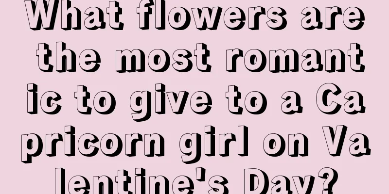 What flowers are the most romantic to give to a Capricorn girl on Valentine's Day?