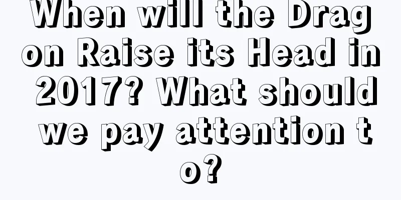 When will the Dragon Raise its Head in 2017? What should we pay attention to?