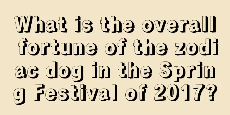 What is the overall fortune of the zodiac dog in the Spring Festival of 2017?
