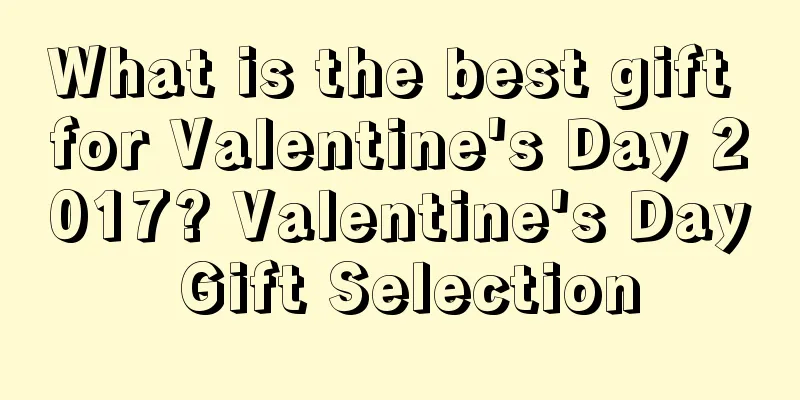 What is the best gift for Valentine's Day 2017? Valentine's Day Gift Selection