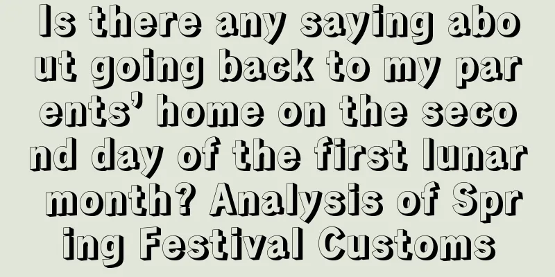 Is there any saying about going back to my parents’ home on the second day of the first lunar month? Analysis of Spring Festival Customs