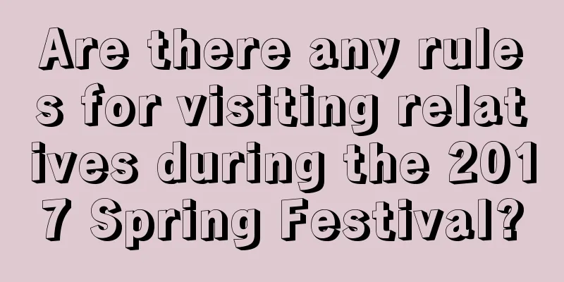 Are there any rules for visiting relatives during the 2017 Spring Festival?