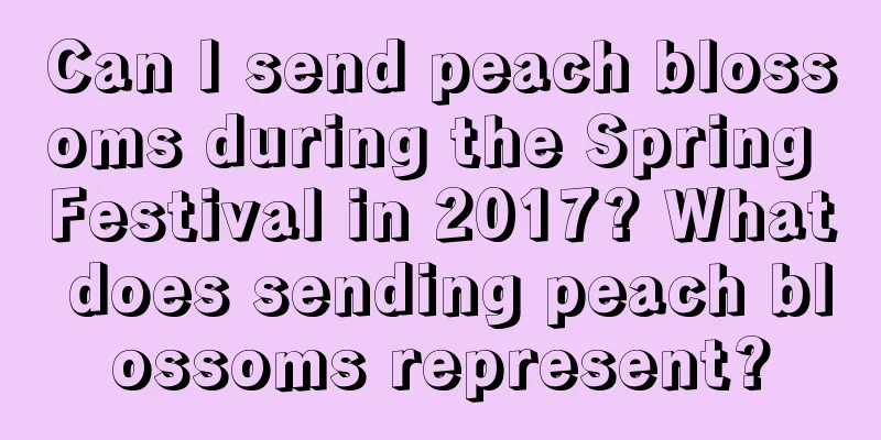 Can I send peach blossoms during the Spring Festival in 2017? What does sending peach blossoms represent?
