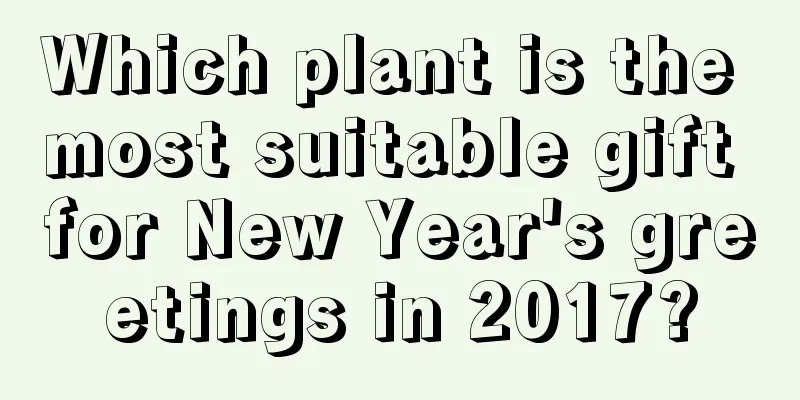 Which plant is the most suitable gift for New Year's greetings in 2017?