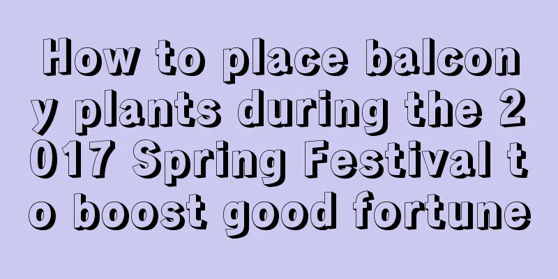 How to place balcony plants during the 2017 Spring Festival to boost good fortune