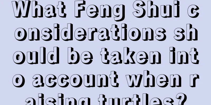 What Feng Shui considerations should be taken into account when raising turtles?
