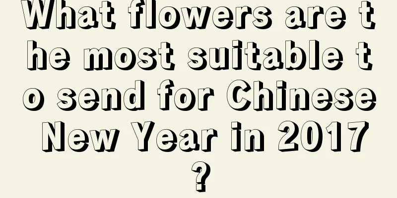 What flowers are the most suitable to send for Chinese New Year in 2017?