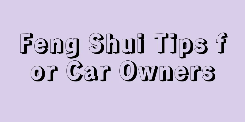 Feng Shui Tips for Car Owners