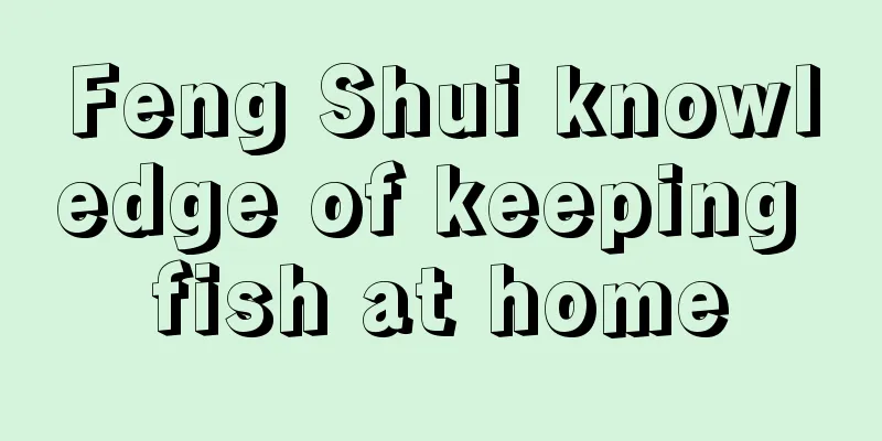 Feng Shui knowledge of keeping fish at home