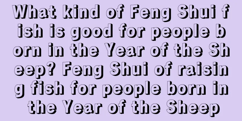 What kind of Feng Shui fish is good for people born in the Year of the Sheep? Feng Shui of raising fish for people born in the Year of the Sheep