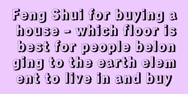 Feng Shui for buying a house - which floor is best for people belonging to the earth element to live in and buy