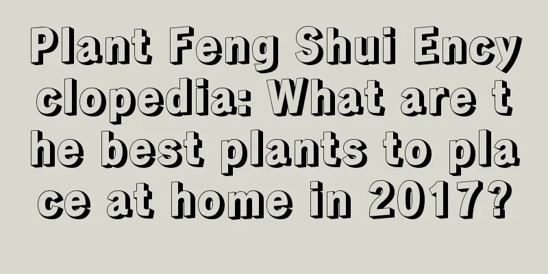 Plant Feng Shui Encyclopedia: What are the best plants to place at home in 2017?