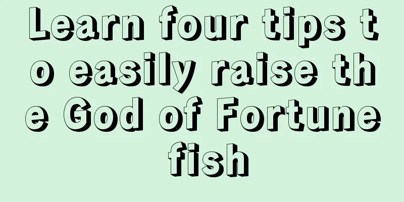 Learn four tips to easily raise the God of Fortune fish