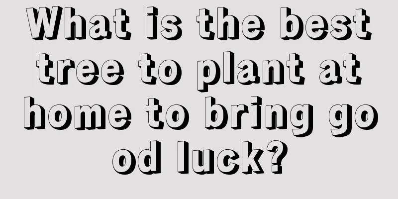 What is the best tree to plant at home to bring good luck?