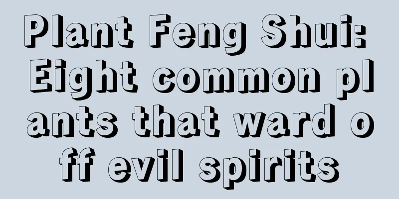 Plant Feng Shui: Eight common plants that ward off evil spirits
