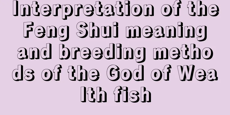 Interpretation of the Feng Shui meaning and breeding methods of the God of Wealth fish