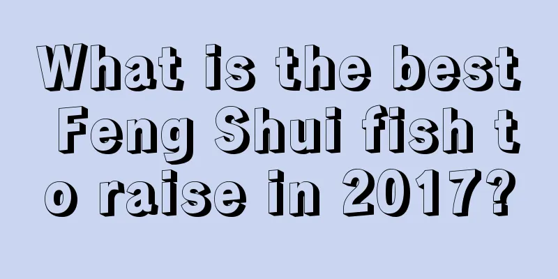 What is the best Feng Shui fish to raise in 2017?