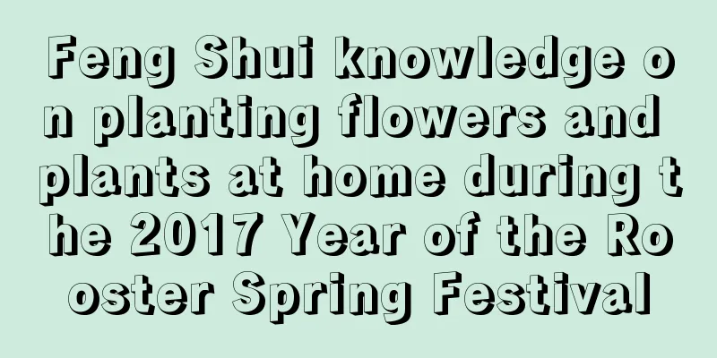 Feng Shui knowledge on planting flowers and plants at home during the 2017 Year of the Rooster Spring Festival