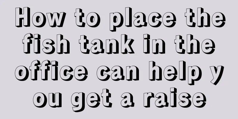 How to place the fish tank in the office can help you get a raise