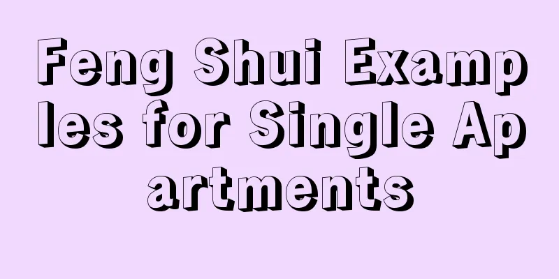 Feng Shui Examples for Single Apartments